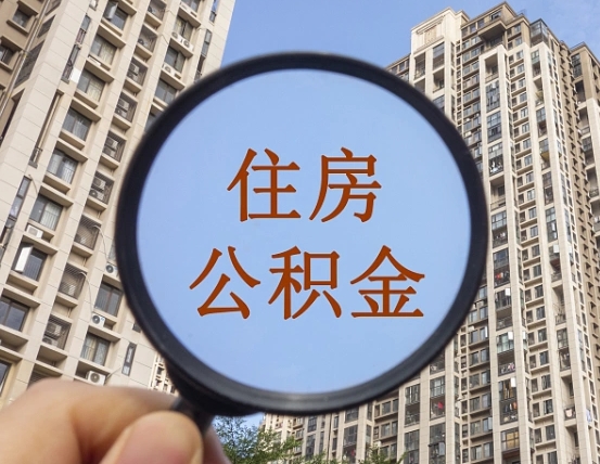 巴中退休后查不到公积金明细了吗（退休后公积金查询不到原因）